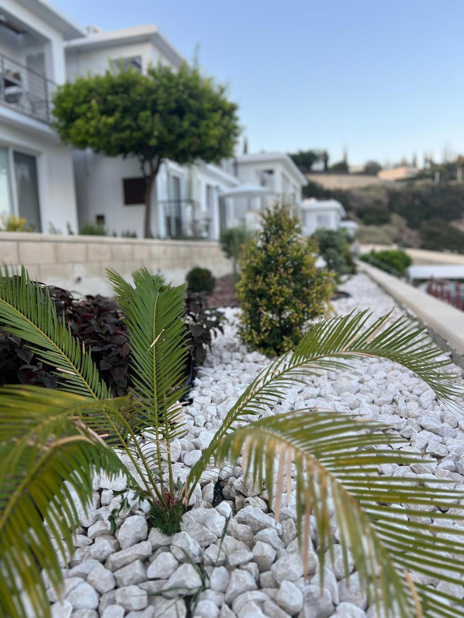 Pissouri Image Apartman Kültér fotó